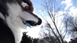 Fursuit Sledding
