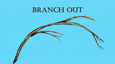 22 For Loops *Branch Out* Learn to Code 1 - Swift Playgrounds (iPad)