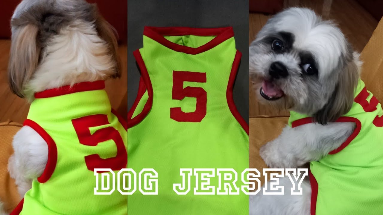 DIY Dog Jersey Sewing Jersey For Dog YouTube diy-dog-jersey-sewing-jersey-for-dog-youtube