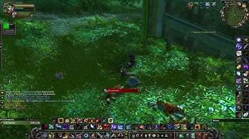 High Priest Thekal Kill, WotLK Classic Solo Zul