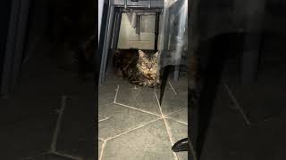 IMG 4049
