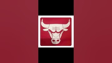The Chicago bulls logo  😥