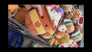 Squishmallow Hunting NEW Five Below Fall Harvest Squad!!! + a small Boxlunch / Target Haul!!