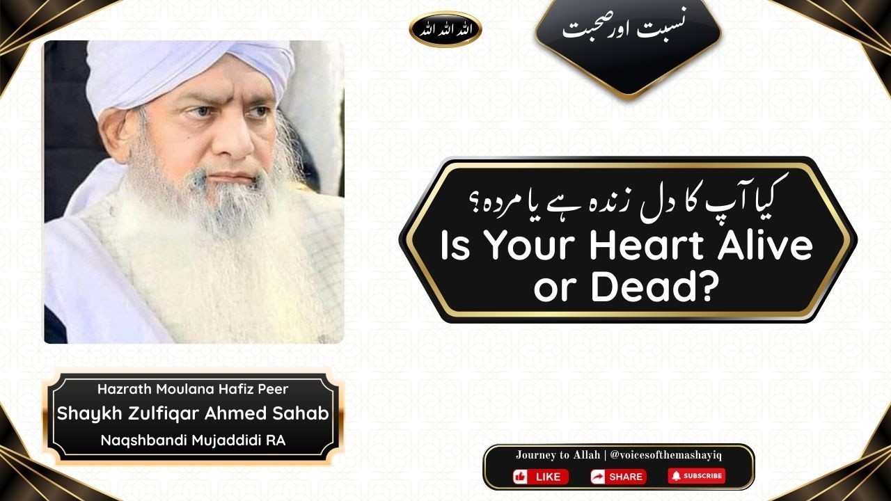 Kya Aap ka Dil Zinda hai ya Murda? Sohbat e Shaikh - Hazrath Moulana Peer Zulfiqar Ahmed Sahab RA