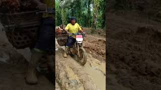 Lave Langsir buah tandan sawit lur,,,sepi job lur,,alkhamdulillah olo olo kuwato  lur,,,