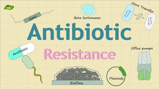 Mechanisms Of Antimicrobial Resistance |  Cheat Sheet |   Apurba Shastry Microbiology 