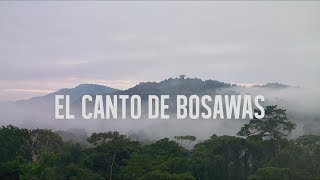 El canto de BOSAWAS