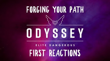 First Reactions to Developer Diary 2: Forging Your Path