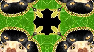 What So Not - Gemini feat. George Maple (Official Audio)