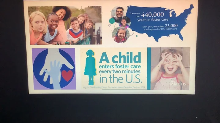 Why you should consider fostering