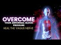 Heal The Vagus Nerve | Overcome Your Abnormal Blood Pressure | Improve Parasympathetic Tone | 528 Hz