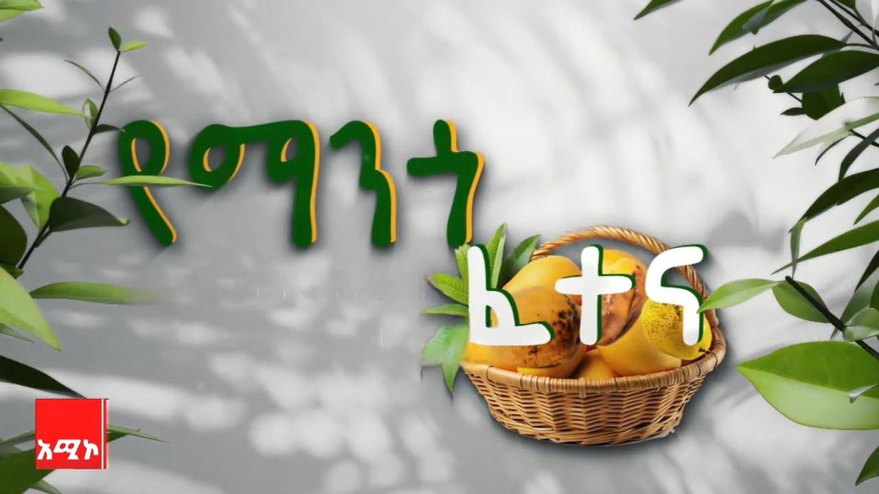 በመድኃኒት እጦት ከዓመት ወደ ዓመት በሽታው እየተባባሰበት የመጣው ማንጎ በአሚኮ ዘጋቢ