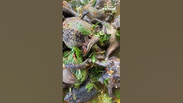 Đặc sản chỉ có tại Ninh Thuận, nhìn thì ghê nhưng ăn 1 lần là nhớ mãi không quên #madeinvietnam