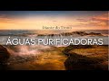 Águas Purificadores- Diante do Trono (COVER) | EDGAR FREIRE