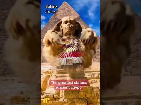 لا تهجير لا ظلم اكسبلور