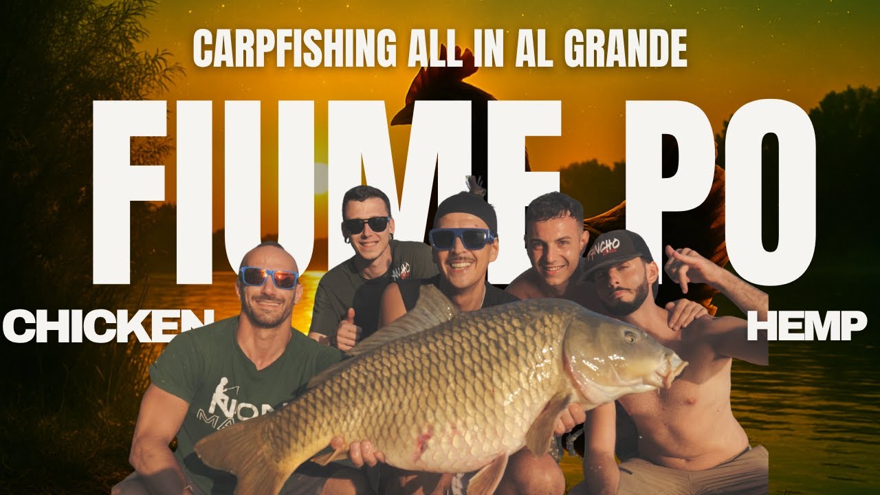 Carpfishing All-in al grande fiume PO | Chicken Hemp