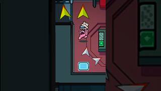 Epic Hide And Seek Funny Moments Compilation