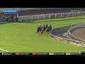 2026 $200,000 Rodeo Drive Stakes (G2)