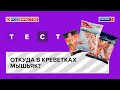 Откуда в креветках мышьяк