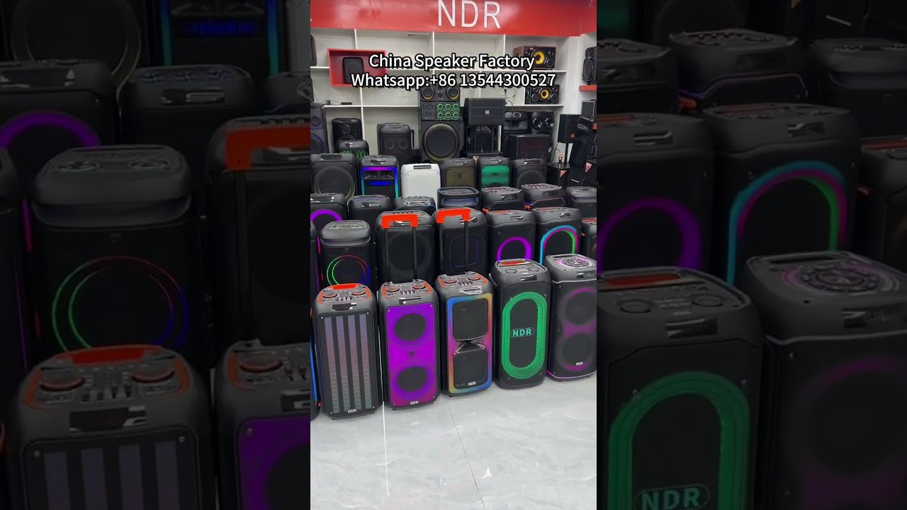 China speaker factory