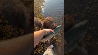 Rick Learning To Kiss And Say Goodbye