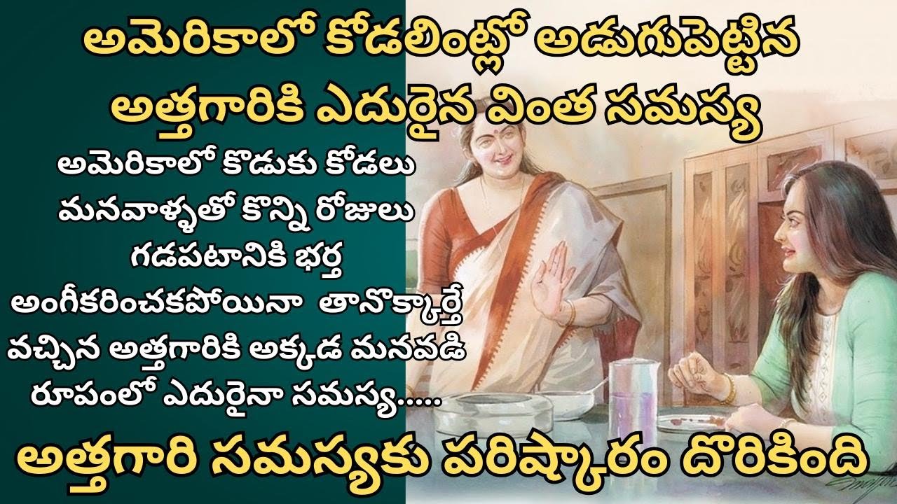 అమెరికాలో కోడలింట్లో అడుగుపెట్టిన అత్తగారికి ఎదురైన వింత సమస్య/ Telugu Audio Stories/ Telugu Kathalu