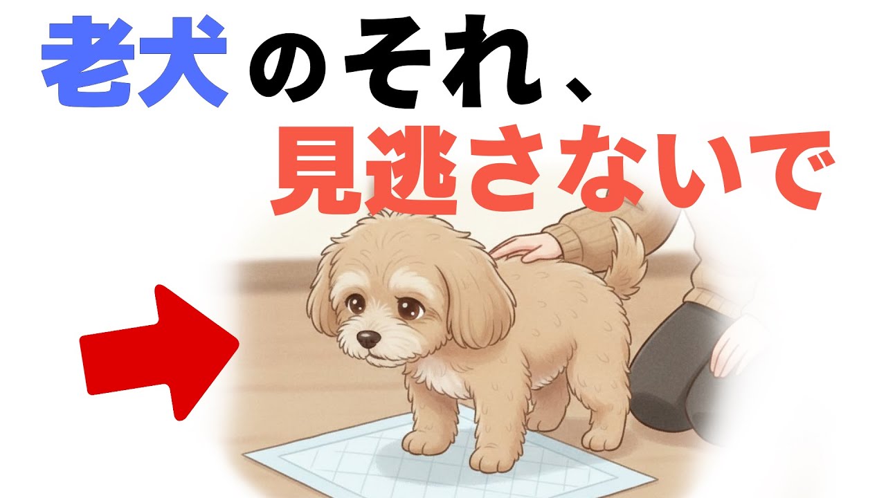 【見逃し注意！】老犬が静かに助けを求めてる10のサイン