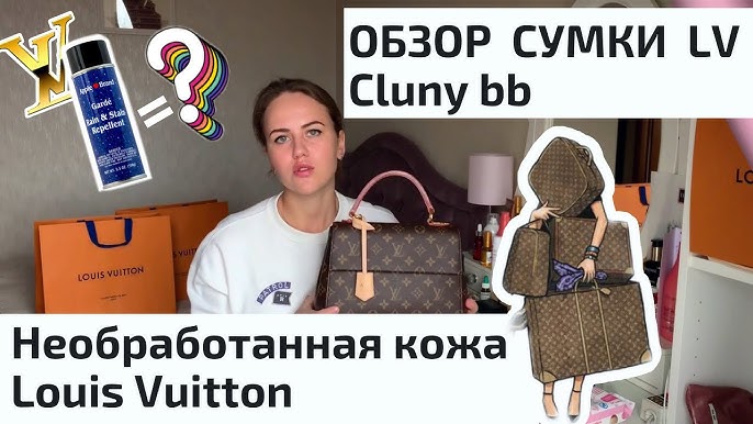 Louis Vuitton Cluny BB Monogram – The Hangout