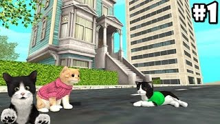 Cat Sim Online: Play with Cats By Turbo Rocket Games - Android / iOS - Gameplay Episode 1 screenshot 5