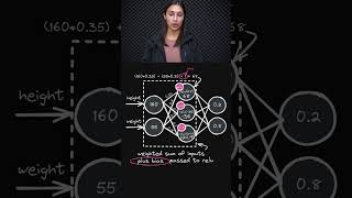 Bias Impact on Activation 🎚️ - Deep Learning Beginner 👶 - Topic 124 #ai #ml