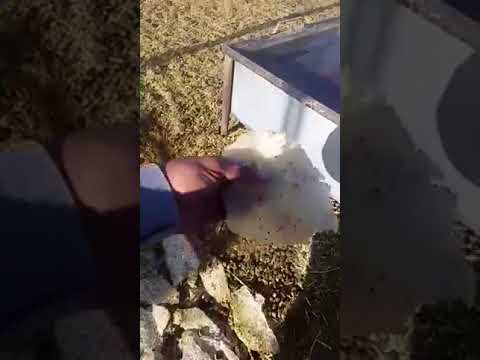 ثلج في شروره