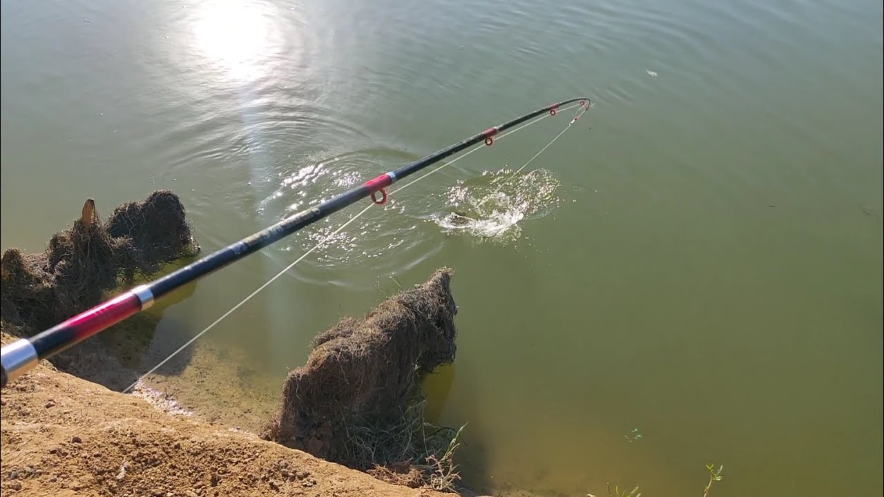 رحلة لاستكشاف مياة العقارية | صيد وحوش الغله فن | الغمزات كلها (لايف)