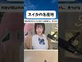 画面に集中できない女性配信さん、見つかる#shorts #tiktok