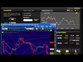 Binary Options Trading Signals Live!
