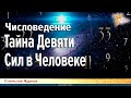 Числоведение. Тайна Девяти Сил в Человеке