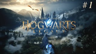 HOGWARTS LEGACY | ШКОЛА МАГИИ И ВОЛШЕБСТВА | НАЧАЛО #1