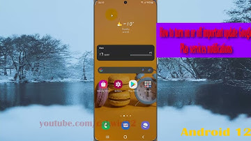 How to turn on or off important update Google Play services notifications in Samsung Galaxy S21 Plus