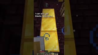 Minecraft But I Get Blocks I Walk on!!!!