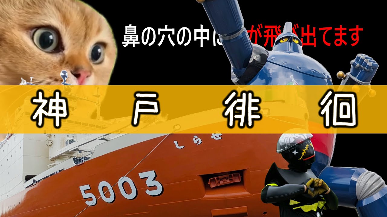 【砕氷艦しらせ】神戸ツーリングという名の行列待ち【エリミネーター】