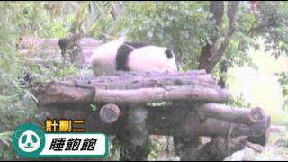 每天一圓仔:圓仔的冬天計劃--蘋果日報 20141103