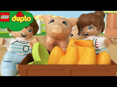 У старика Mакдональда на ферме  - LEGO DUPLO | Мультики для Детей | ЛЕГО