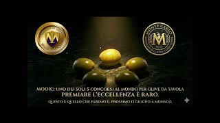 Last Call: MOOOIC &amp; MOOIC 2026 Monte Carlo - Table Olive International Contest: become  a legend!