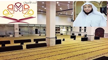 [ لا يسمعون فيها لغواً ولا كذابا ] فجرية جميلة للقارئ: هادي آل عسكر