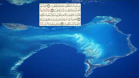 269 -page سعد الغامدي - -سورة النحل -Les abeilles (An-Nahl) 16