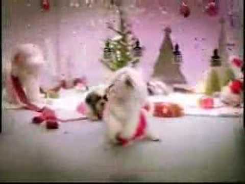 dogs singing christmas song