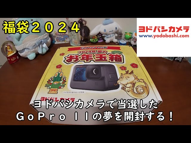 GoPro11の夢 ヨドバシ お年玉箱 2024 福袋