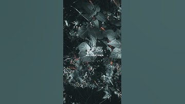 سورة الجمعه #quran #القرآن_الكريم #تلاوة #قرآن #قران_كريم #اجر_لي_ولك #بلغوا_عنى_ولو_اية