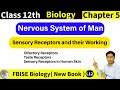 Sensory Receptors and their Working | Olfactory, Taste and Receptors in Skin | FBISE New Biology
