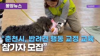 춘천시, 반려견 행동 교정 교육 참가자 40가구 모집