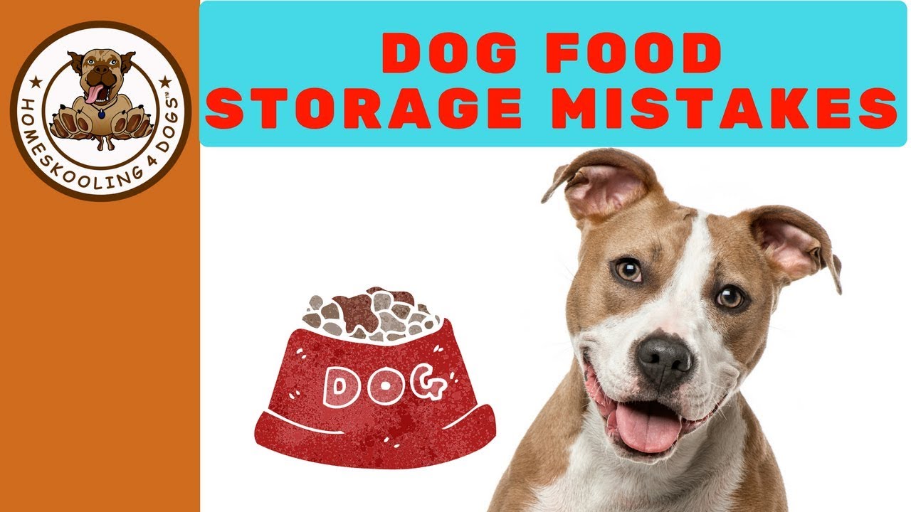 best way to store dry dog food